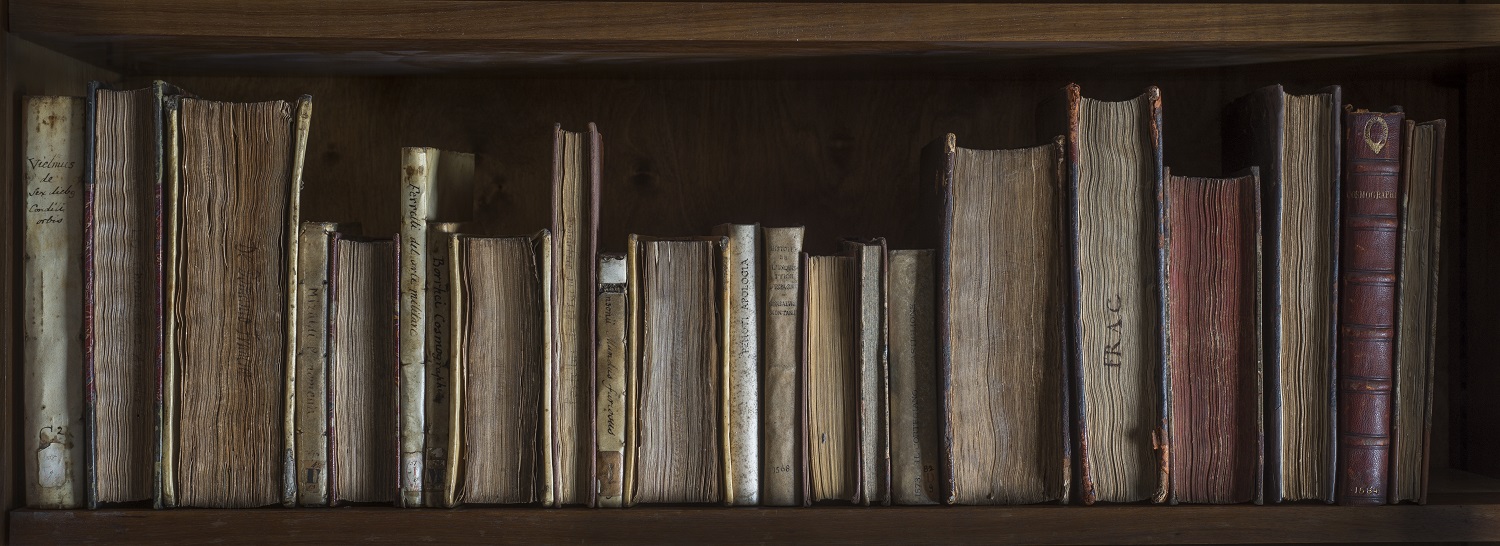Shelf or early modern books