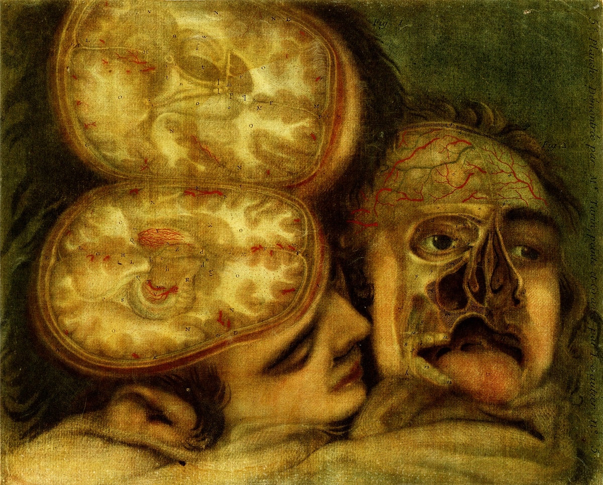 Colour printed images. Two dissected human heads on a green background. The top of the skull is lifted off the left-hand head, and it faces towards the right, its nose touching the second head. The right-hand head faces towards us, with the forehead, left cheek and nose dissected.