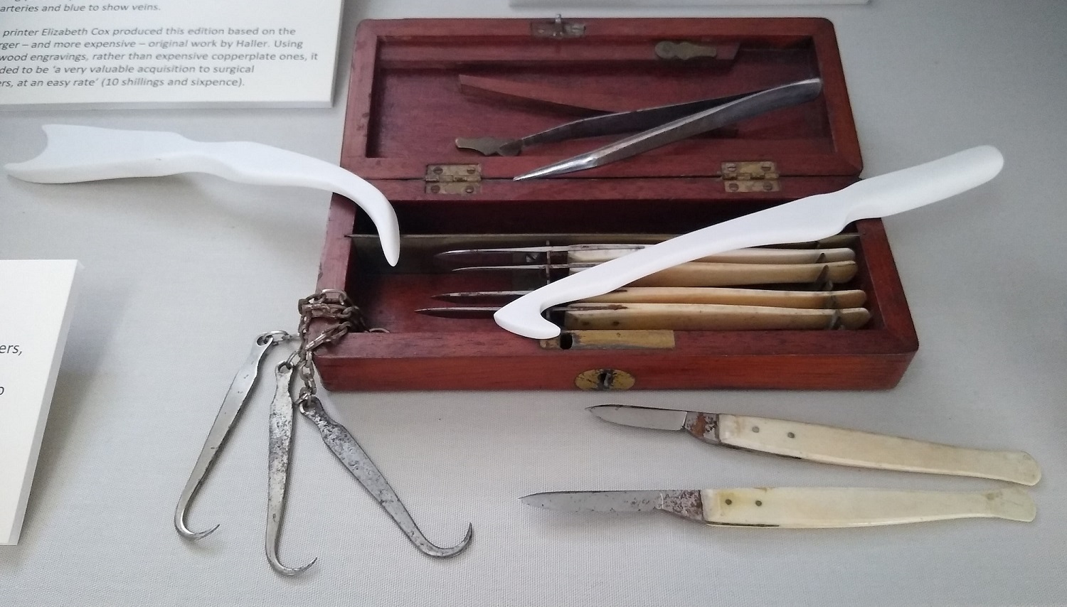 A set of dissection instruments and their mahogany wood case displayed with sculpted porcelain surgical tools.