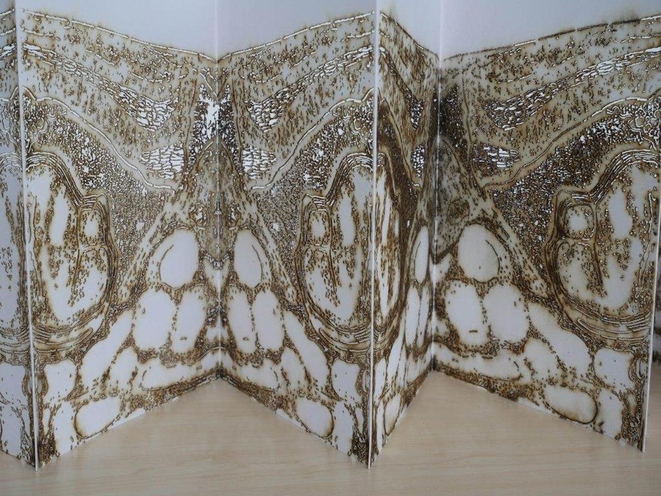 Extended concertina pages of a book featuring laser cut images of a human brain.