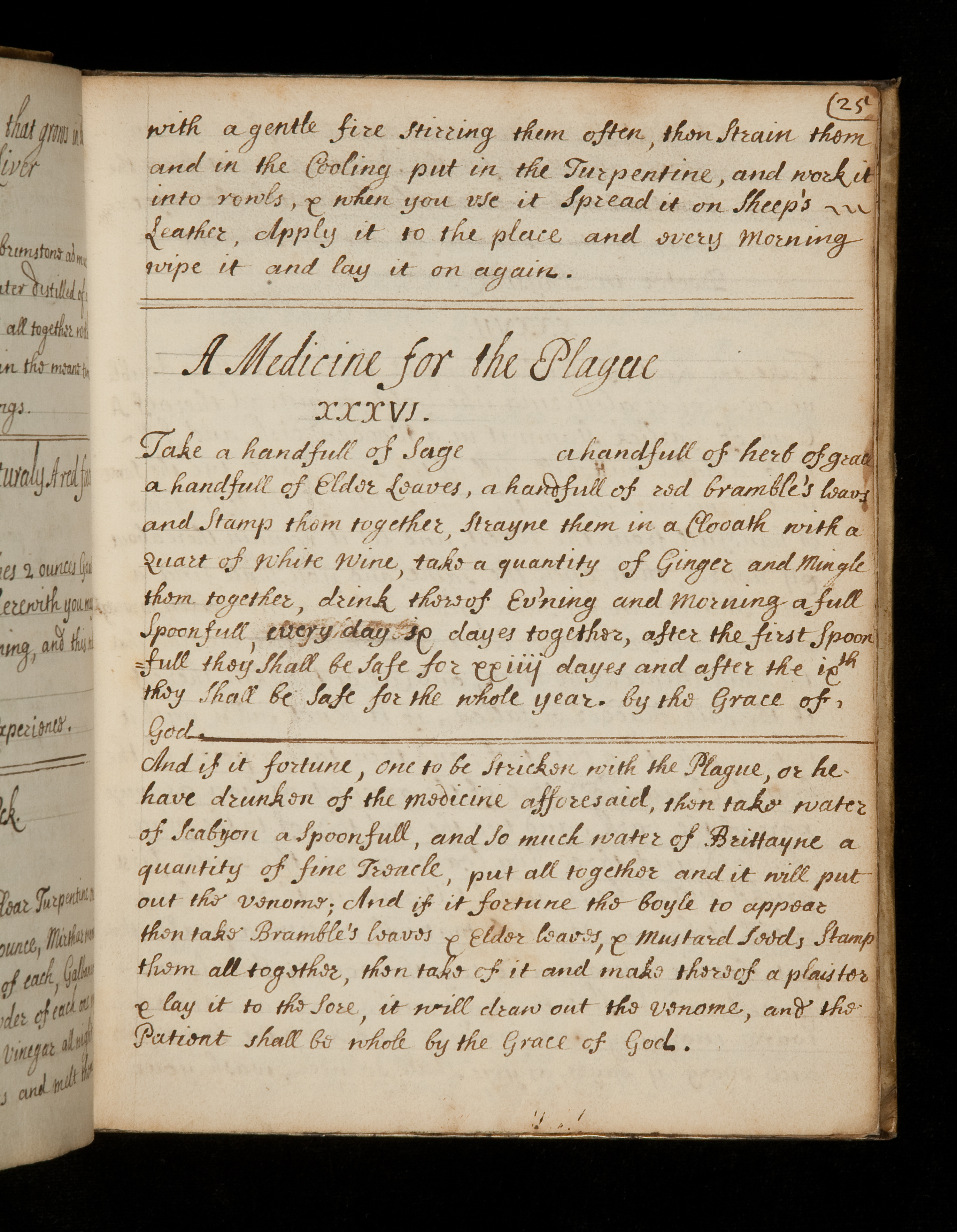 Example of a medical 'recipe' for treatment of the plague in Lady Sedley's receipt book, 1686 (MS534, p25)