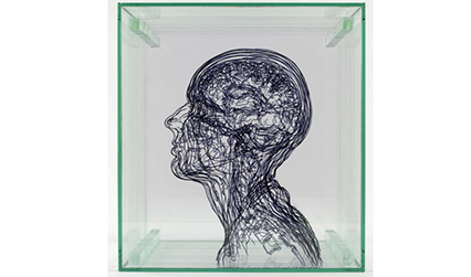 Representation of the human head, in layers of perspex with black lines drawn on them