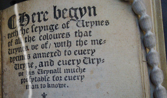 Photograph of title page repaired with a pen facsimile