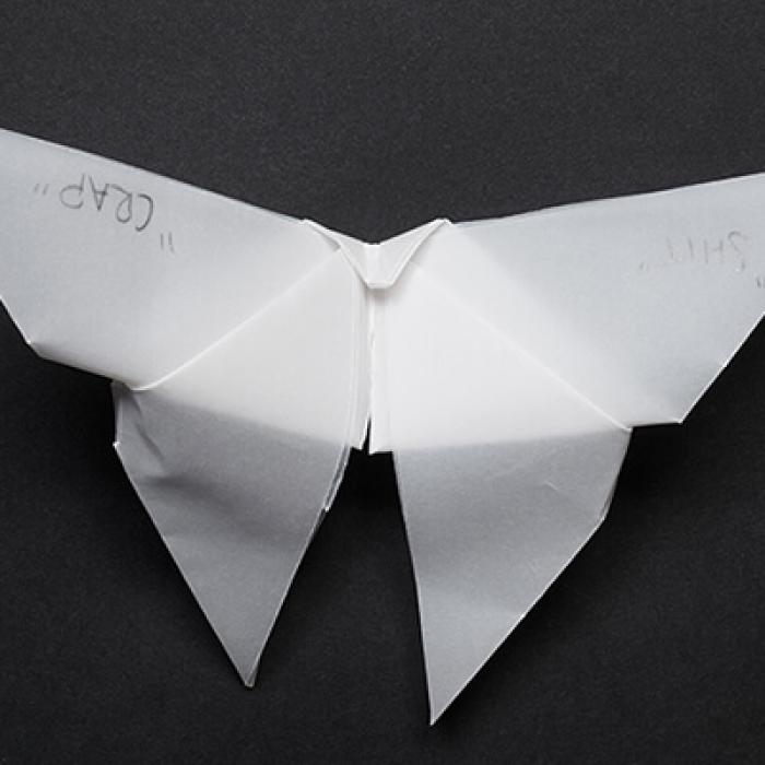 Origami butterfly with handwritten message on wing, crap. 