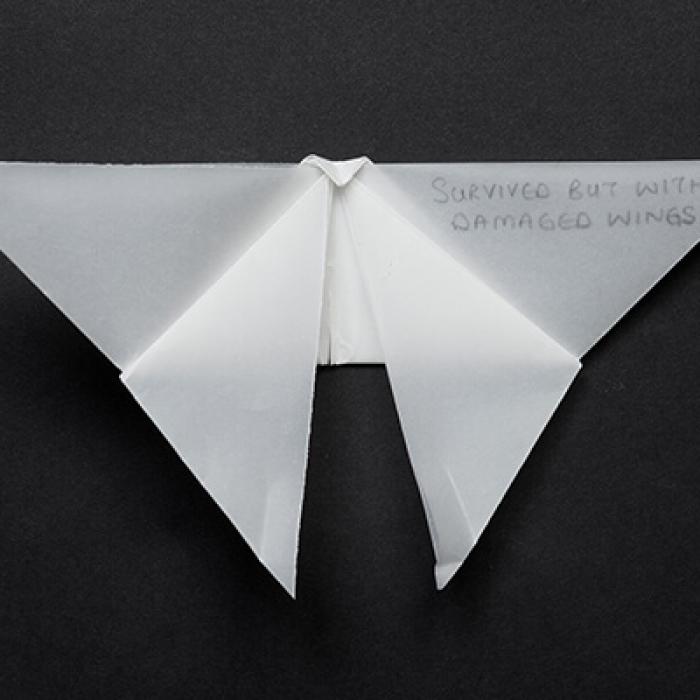 Origami butterfly with handwritten message on wing about survival.