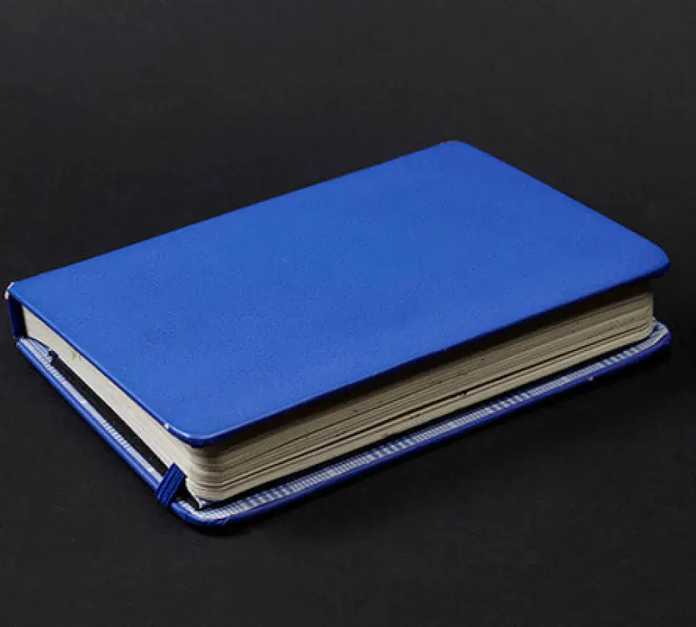 Blue diary.
