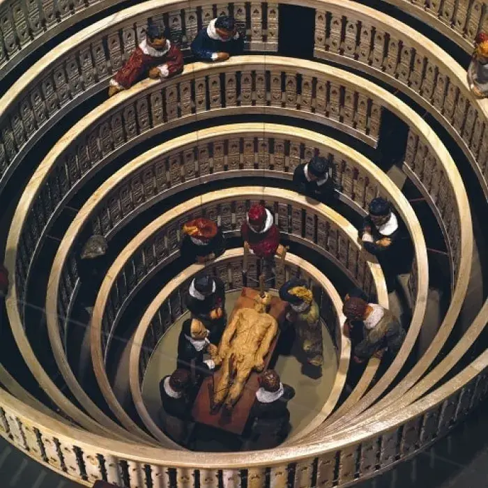 Model of Padua anatomy theatre