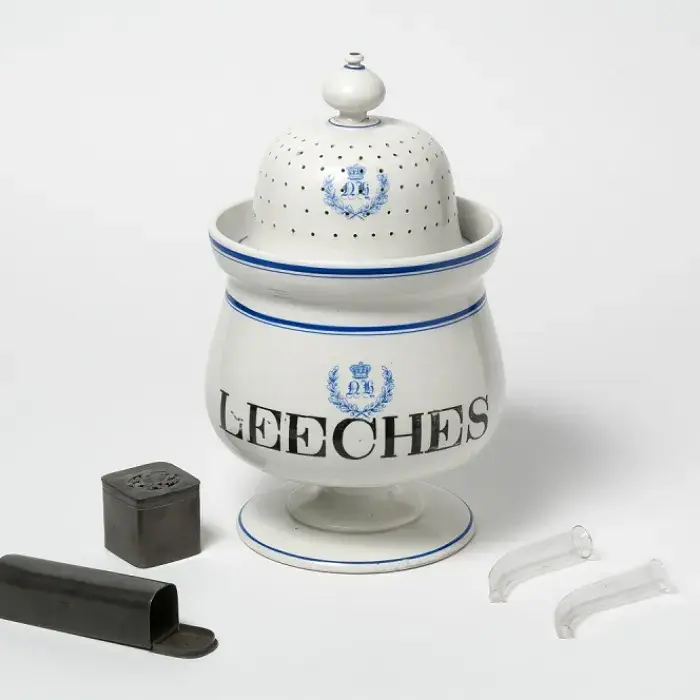 Leech jar, boxes and applicators, 19th century