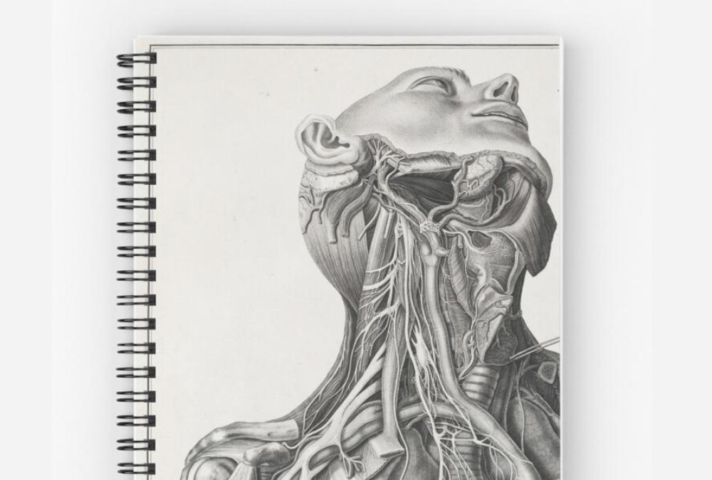 Notebook with anatomical illustration