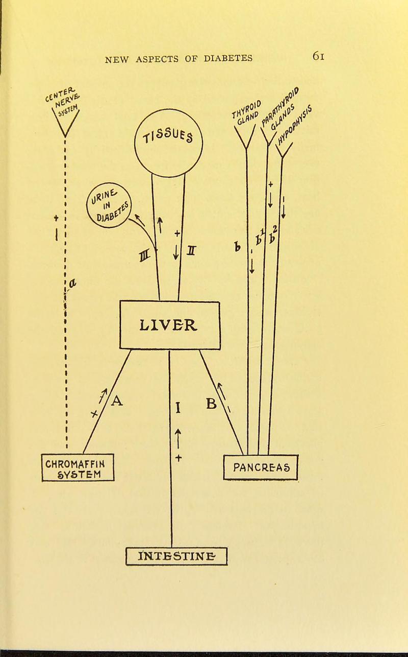 ‘Diagram illustrating the regulation’ in New aspects of diabetes. Carl von Noorden, Bristol, 1912
